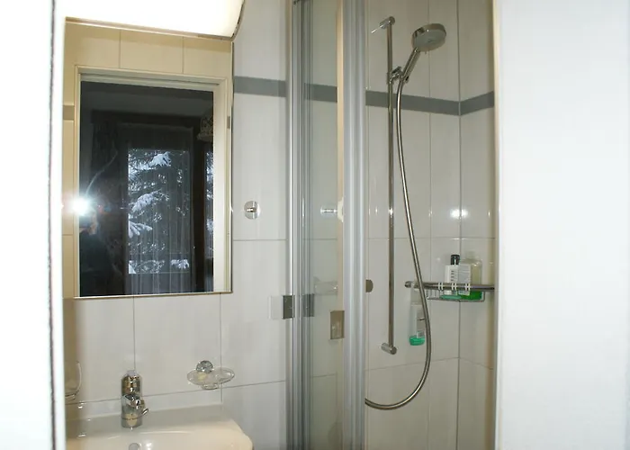 Appartement Des Alpes Davos